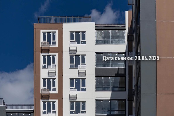 25 апреля 2025