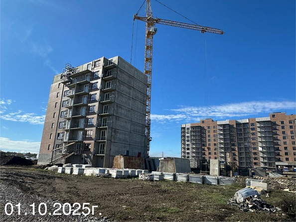 3 октября 2025
