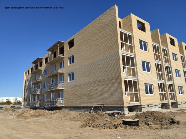 9 октября 2025