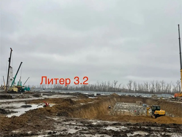 20 февраля 2026