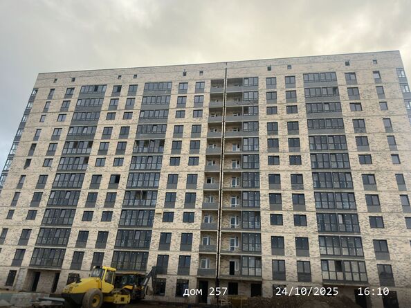 24 октября 2025