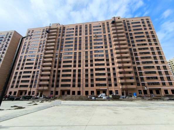 29 октября 2025