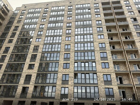 24 октября 2025