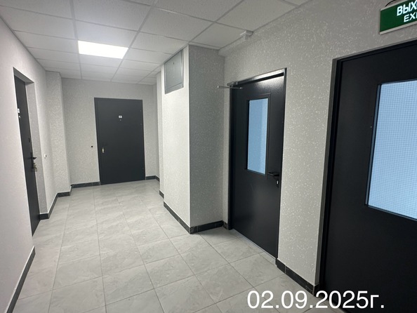3 сентября 2025