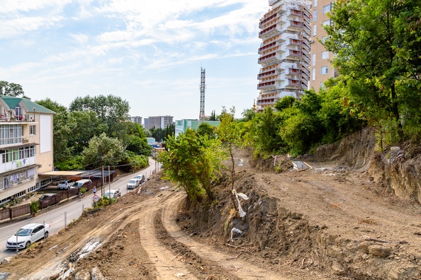 24 июля 2025