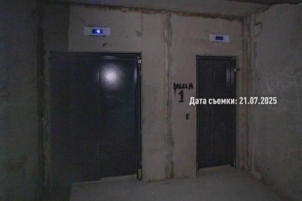 28 июля 2025