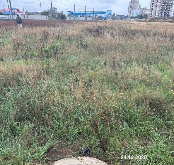 24 декабря 2025