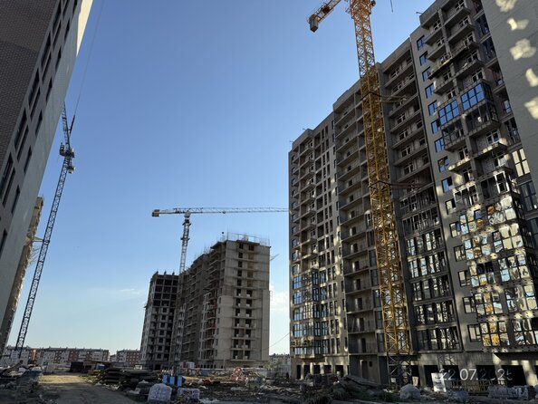 24 июля 2025