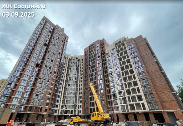 8 сентября 2025