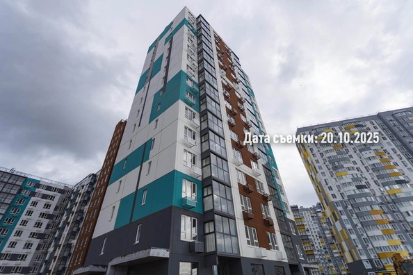 24 октября 2025