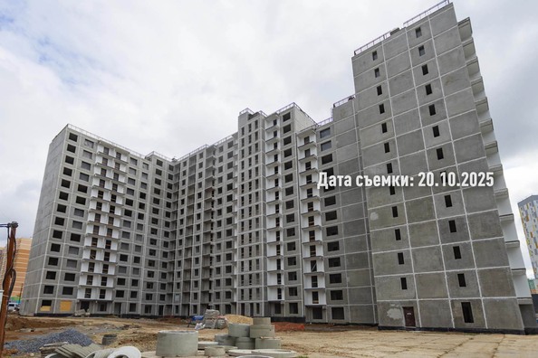 24 октября 2025