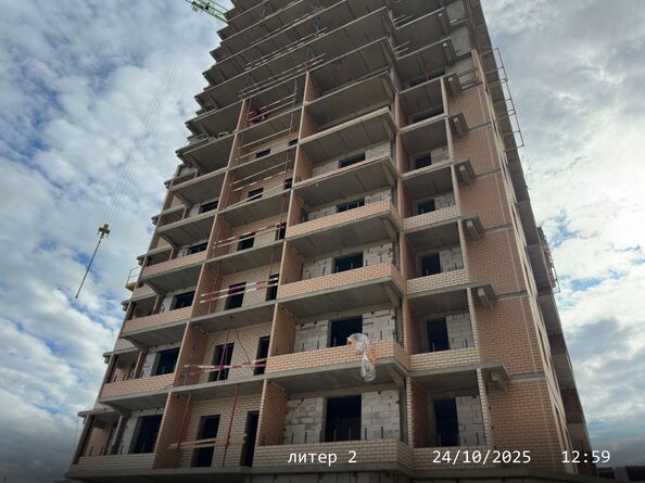 24 октября 2025