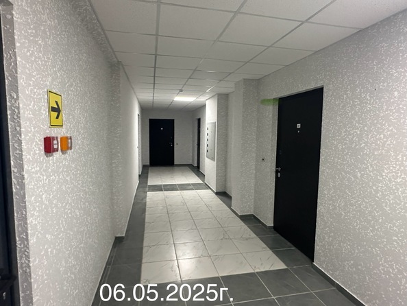 6 мая 2025