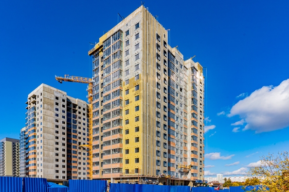 29 октября 2025