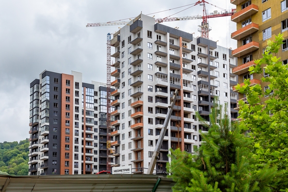 25 июля 2025
