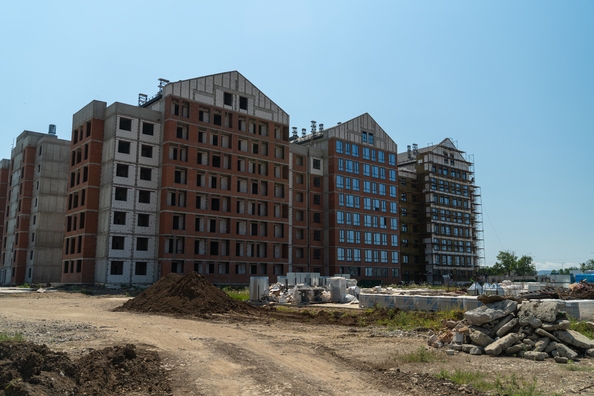 29 июля 2025