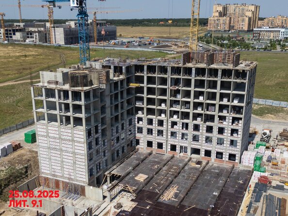 26 августа 2025