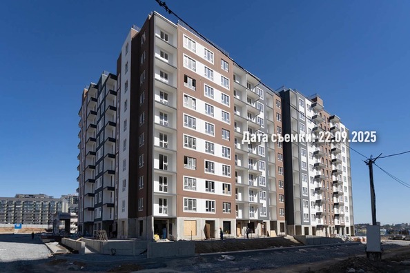 26 сентября 2025