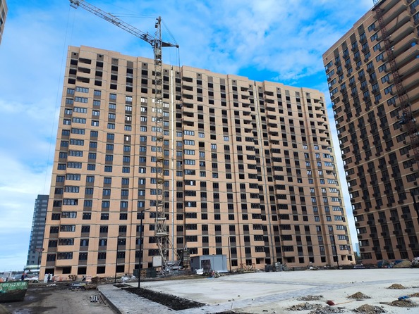 29 октября 2025