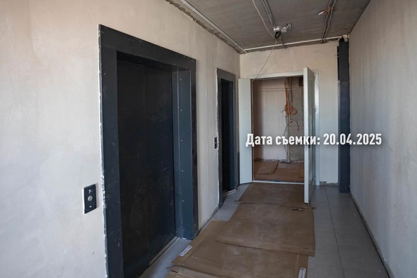 25 апреля 2025