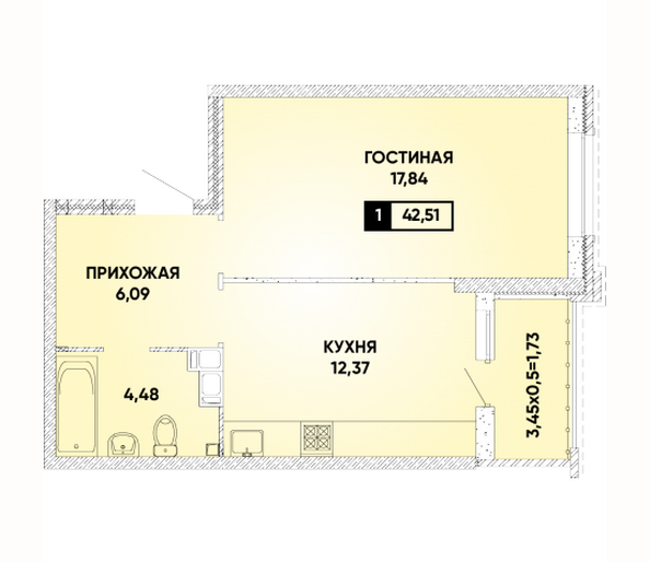 Планировка 1-комн 42,51 м²