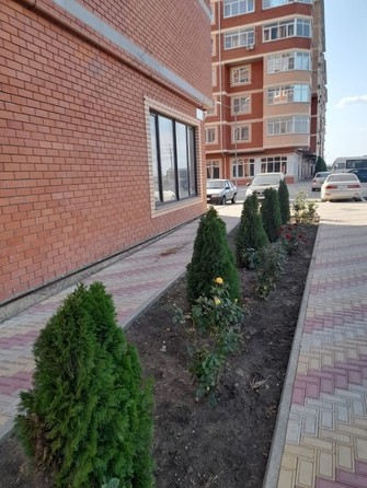 
   Продам 1-комнатную, 38 м², Тургеневское шоссе ул, 1Гк3

. Фото 2.