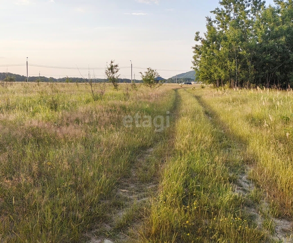 
  Продам  участок ИЖС, 8 соток, Табачный

. Фото 5.