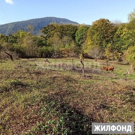 
  Продам  дачный участок Красная Воля

. Фото 1.