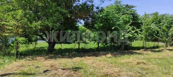 
  Продам  дачный участок Новобейсугская

. Фото 4.