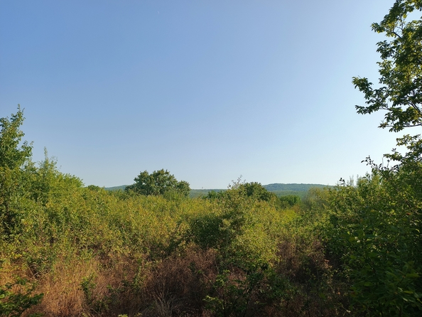 
  Продается земельный участок, 430 соток, станица Гостагаевская
. Фото 19.