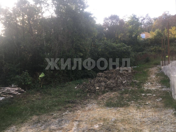 
  Продам  дачный участок Сочи

. Фото 2.
