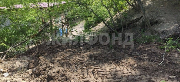 
  Продам  дачный участок Сочи

. Фото 1.