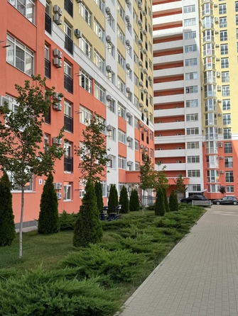 
   Продам 1-комнатную, 41 м², Супсехское ш, 39к10

. Фото 2.