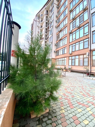 
   Продам 1-комнатную, 54 м², Туристическая ул, д 4А

. Фото 24.