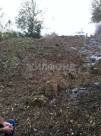 
  Продам  дачный участок Сочи

. Фото 1.