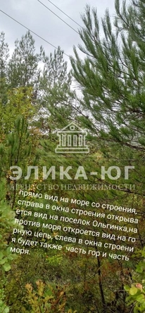 
  Продается земельный участок 91 сотка. Фото 6.