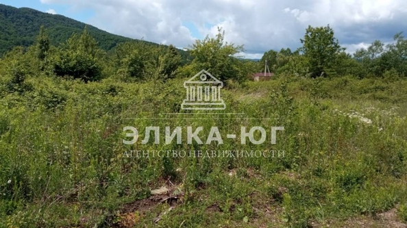 
  Продается земельный участок, 12 соток, село Дефановка
. Фото 5.