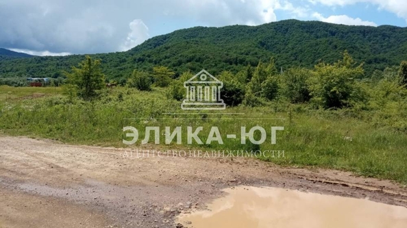 
  Продается земельный участок, 12 соток, село Дефановка
. Фото 6.