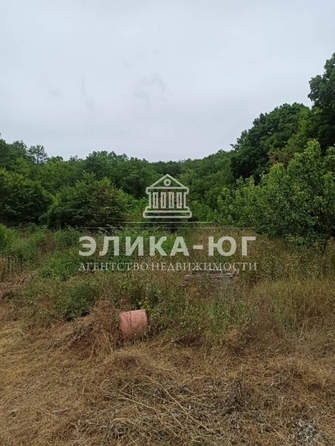
  Продается земельный участок 31 сотка. Фото 4.