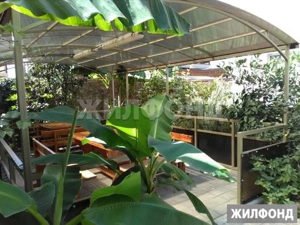 
   Продам дом Сочи

. Фото 4.
