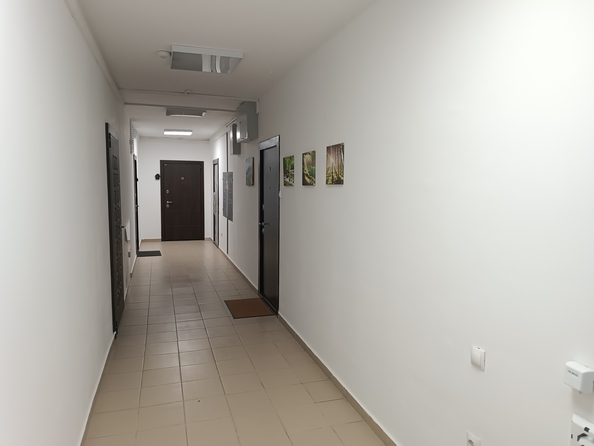 
   Продам 2-комнатную квартира, 54 м², Пионерский пр-кт, 274Б

. Фото 17.