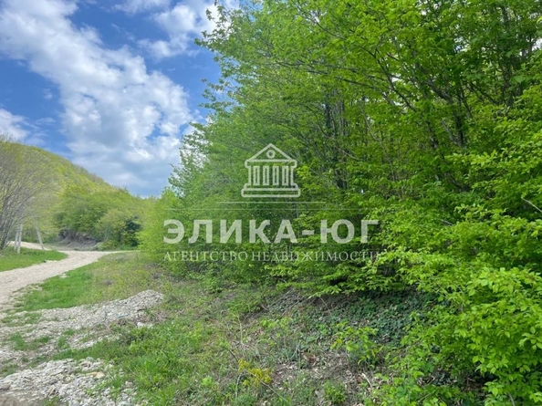 
  Продается земельный участок, 7.67 соток, село Бжид
. Фото 3.