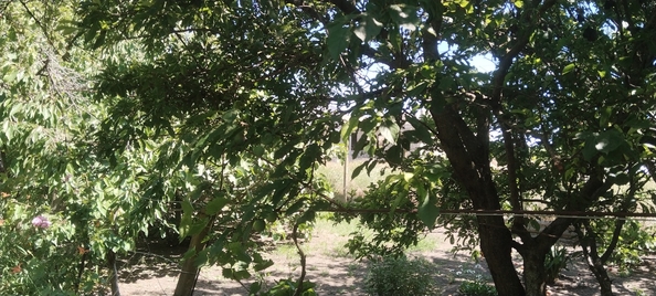 
  Продается дом, 100 м², село Цибанобалка
. Фото 4.