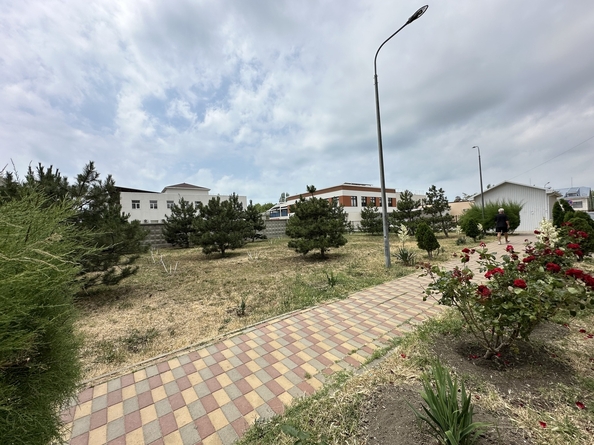 
  Продается студия, 33 м², Верхняя дорога ул, д. 151к1
. Фото 21.