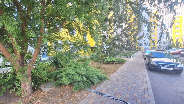 
  Продается 1-комн. квартира, 45 м², Адмирала Пустошкина ул, д. 22к7
. Фото 30.