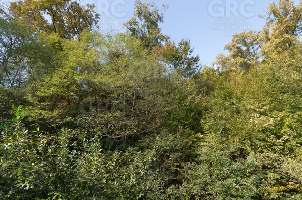 
   Продам 2-комнатную квартира, 47.9 м², Известинская ул, 29/2

. Фото 8.