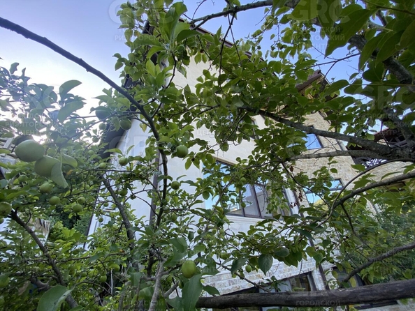 
   Продам дом, 500 м², Сочи

. Фото 61.