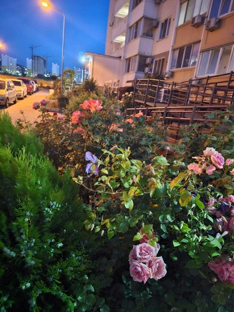 
  Продается студия, 32 м², Супсехское ш, д. 26к10
. Фото 14.