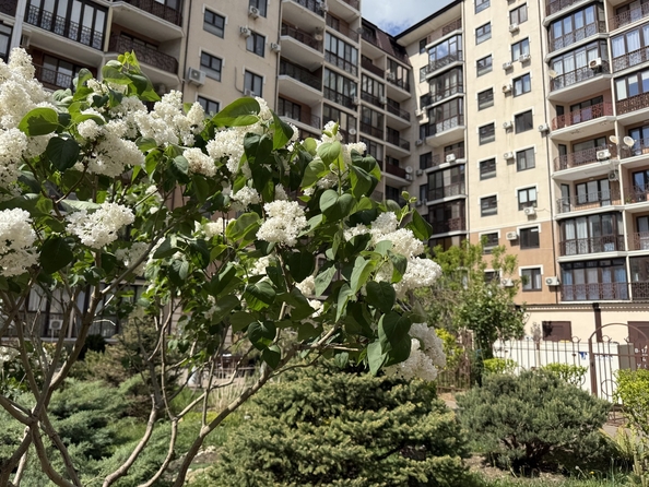 
  Продается 1-комн. квартира, 58 м², Таманская ул, д. 24
. Фото 23.