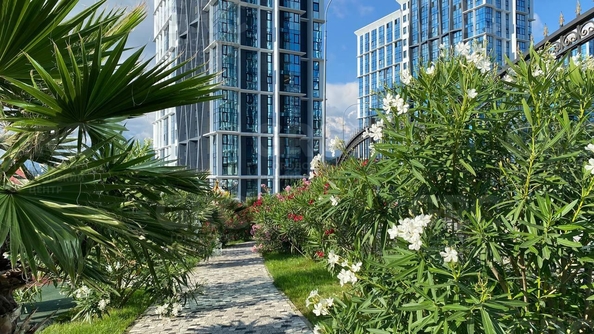 
  Продается студия, 24.1 м², Ясногорская ул, д. 16/6
. Фото 24.